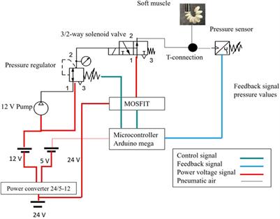 Development and evaluation of a soft pneumatic muscle for elbow joint rehabilitation